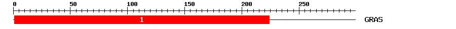 Signature Domain
