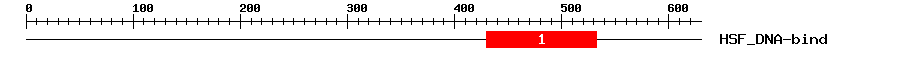 Signature Domain