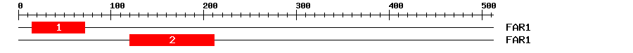 Signature Domain