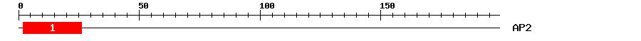 Signature Domain