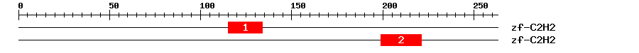 Signature Domain