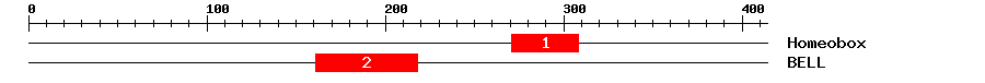 Signature Domain