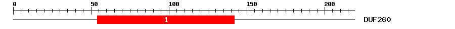 Signature Domain