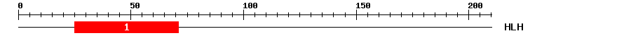 Signature Domain