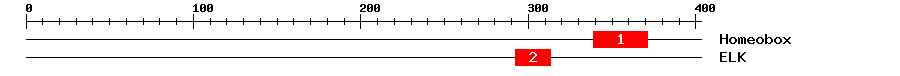 Signature Domain