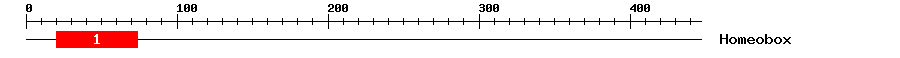 Signature Domain