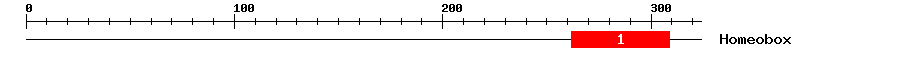 Signature Domain