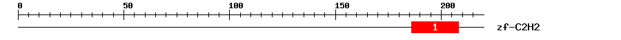 Signature Domain