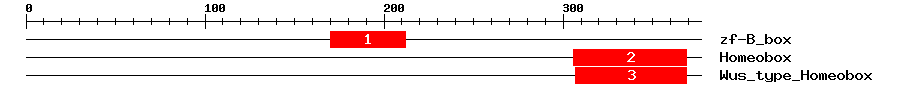 Signature Domain