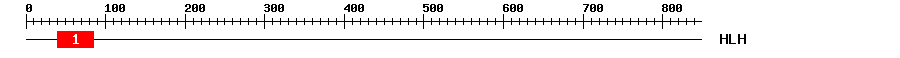 Signature Domain