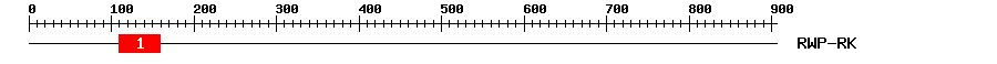 Signature Domain