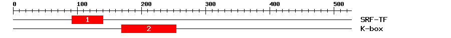 Signature Domain