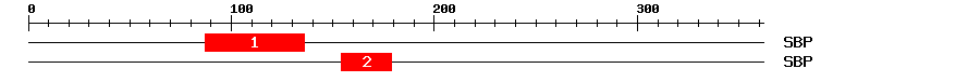 Signature Domain