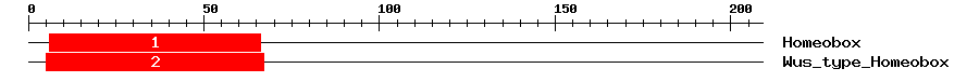 Signature Domain
