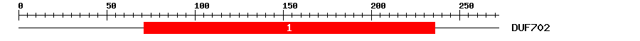 Signature Domain