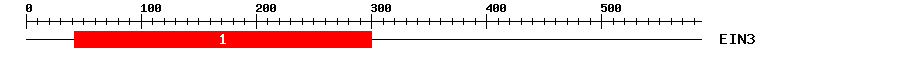 Signature Domain