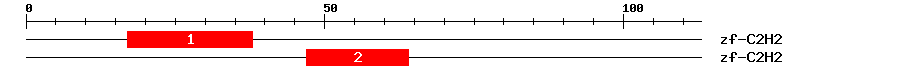 Signature Domain
