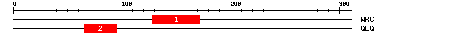 Signature Domain