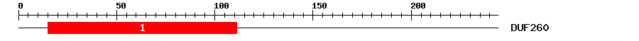 Signature Domain