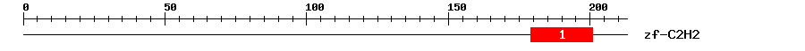 Signature Domain