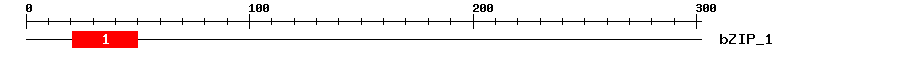 Signature Domain