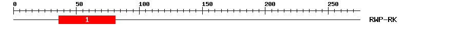 Signature Domain