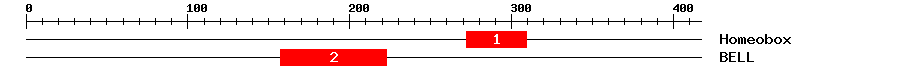 Signature Domain