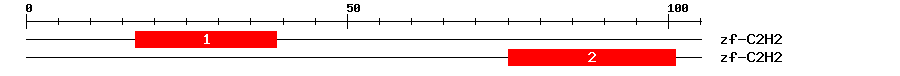 Signature Domain