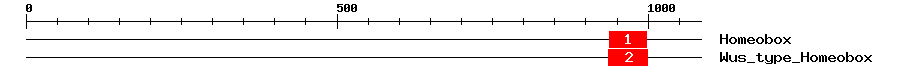 Signature Domain
