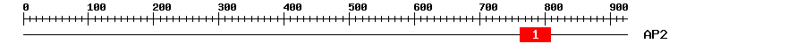 Signature Domain