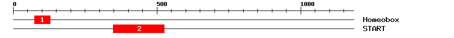 Signature Domain