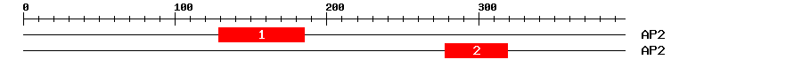 Signature Domain