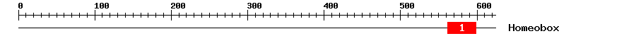 Signature Domain