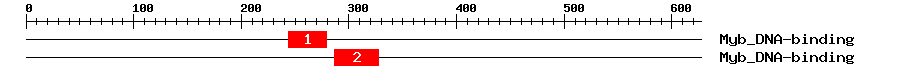 Signature Domain