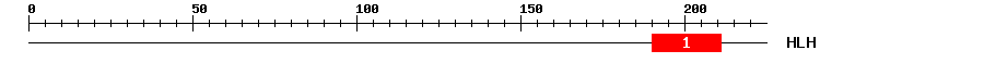 Signature Domain