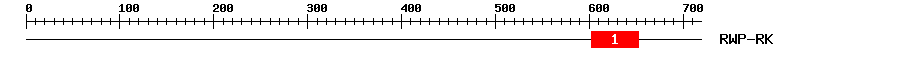 Signature Domain