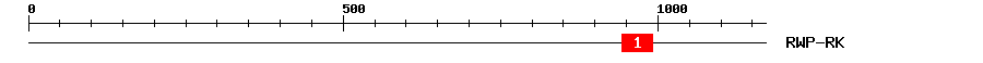 Signature Domain