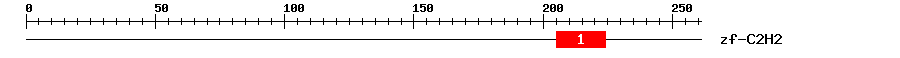 Signature Domain