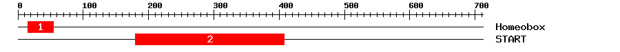 Signature Domain