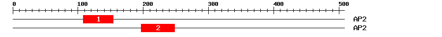 Signature Domain