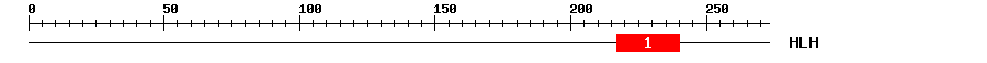 Signature Domain