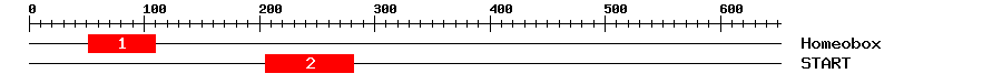 Signature Domain