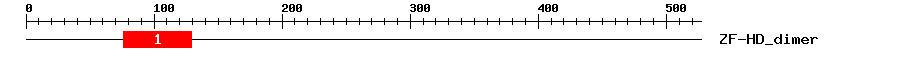 Signature Domain