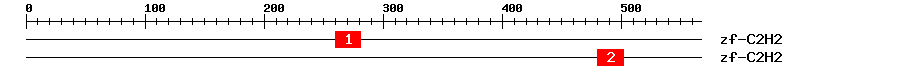 Signature Domain