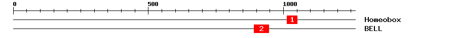 Signature Domain