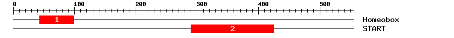 Signature Domain