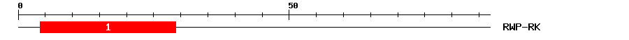 Signature Domain
