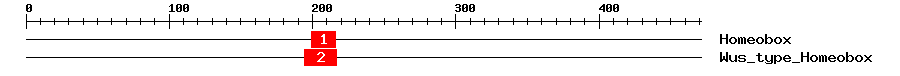 Signature Domain