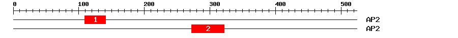 Signature Domain