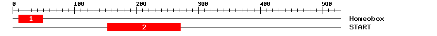 Signature Domain